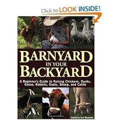 Barnyard in Your Backyard: A Beginner's Guide to Raising Chickens, Ducks, Geese, Rabbits,... by Gail Damerow