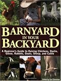 Barnyard in Your Backyard: A Beginner's Guide to Raising Chickens, Ducks, Geese, Rabbits, Goats, Sheep, and Cattle Medium