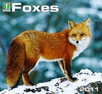 2011 Foxes Calendar (1 with Nature (Calendars))