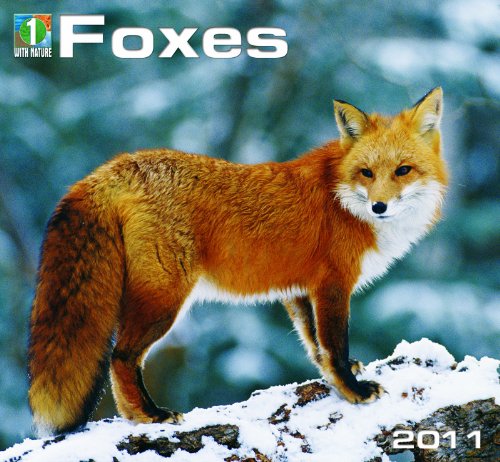 2011 Foxes Calendar (1 Nature (Calendars))