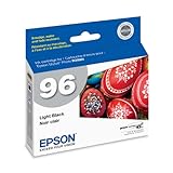 Epson T096720 Stylus Photo R2880 Printer UltraChrome K3 Ink Cartridge