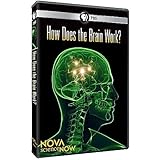 Nova Science Now: How Does the Brain Work