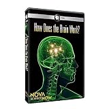 Nova Science Now: How Does the Brain Work