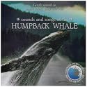 Sounds and Songs of the Humpback Whales