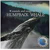 Sounds & Songs of the Humpback Whale