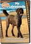 My Labradoodle: Everything You Need to Know About Your Labradoodle