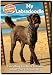 My Labradoodle: Everything You Need to Know About Your Labradoodle (Nylabone DVD Library)