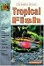Tropical Fish