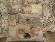 Gorgeous Wool Needlepoint Cushion Cover/Pillow Sham P
