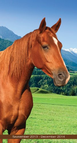 2014 Horses Pocket Calendar