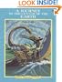 Journey To Center Of Earth (Troll Illustrated Classics)