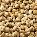 Fastachi Wasabi Soynuts