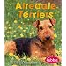 Airedale Terriers (Dogs (Pebble))