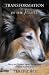 Transformation Of The Heart: Tales Of The Profound Impact Therapy Dogs Have On Their Humans