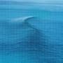 Vapour Trail (Album Version)