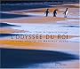 L'Odyss�e du roi : Le long p�riple du manchot royal