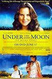 Under the Same Moon (Bajo la Misma Luna)Movie Poster 27 X 40