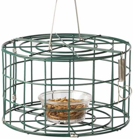 Duncraft Mini Bluebird Cage Bird Feeder