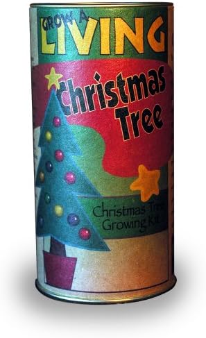 Christmas Tree Grow Kit