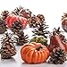Factory Direct Craft Grouping of Assorted Fall Artificial Vegetables and Pinecones 33 Pieces Total for Home Decor, Crafting and Displaying