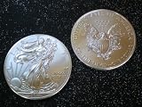 2011 American Silver Eagle Coin in Air-Tite Capsule