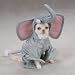 X-Large - Casual Canine Elephant Costumes,$36.37