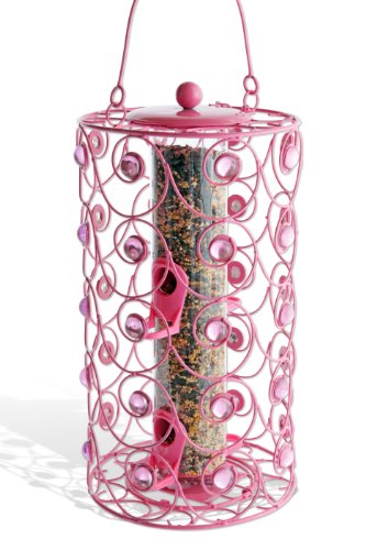 2 lb Cylinder Bird Squirrel Free