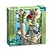 Buffalo Games - Hautman Brothers - Songbird Favorites - 1000 Piece Jigsaw Puzzle