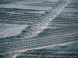 4Wd Tyre Tracks on Sand, Fraser Island, Queensland, Australia Photographic Poster Print by Tony Wheeler, 16x12