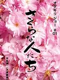 Looking for Cherry Blossoms