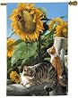 Gray and Gold/yellow Tabby Striped Cats Cat Sunflowers Sunflowers Sun Flower Garden Art Flag Banner