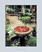 Interior Garden - Laurent Pinsard Art Print Poster 9.5 x 1
