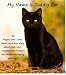 Books : My Name is Cuddly Cat