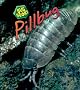Pill Bug (Bug Books)