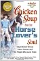 Chicken Soup for the Horse Lovers Soul (Chicken Soup for the Soul (Paperback Health Communications))