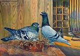 Wallmonkeys Peel and Stick Wall Decals - Two Racing Homer Pigeons Take Turns Incubating Recent Eggs. - Removable Graphic