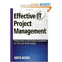 Effective IT Project Management Using Teams to Get Projects Completed on Time and Under Budget
