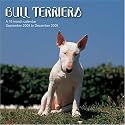 Bull Terriers 2009 Wall Calendar