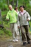 picture of Gymstick Nordic Walking Force - Strong