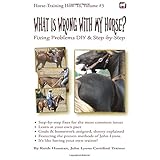 what is wrong with my horse fixing problems diy  step by step horse training how to