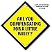 Are You Compensating For A Little Willy Car Sign, Novelty Car Sign, Baby on Board Car Sign Style, FREE UK Postage