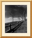 IMAGE OF Fences and Trees, Empire, MI Framed Art Print by Monte Nagler, 22.74 in. x 26.74 in. Framed