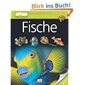 memo Wissen entdecken, Band 13: Fische, mit Riesenposter!