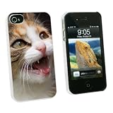Graphics and More Tabby Kitten Cat Meow - Snap On Hard Protective Case for Apple iPhone 4 4S - White - Carrying Case - Non-Retail Packaging - White