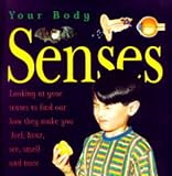 The Senses (Your Body)