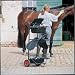 Suchen : 173800 Sattelwagen Stall-Carry Stallbutler