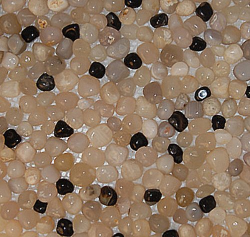 River Rocks pebble mosaic for backsplash fireplace 1 sq.ft #AM1001-2