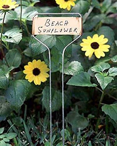 Copper Perennial Markers, Set of 10