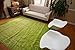 Feraghan/New City New Floral City Brand New Contemporary Modern Area Rug, 2' x 3', Green/White
