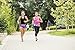 SPIbelt Running Belt: Adult Large Pocket - No-Bounce Running Belt for Runners, Athletes and Adventurers